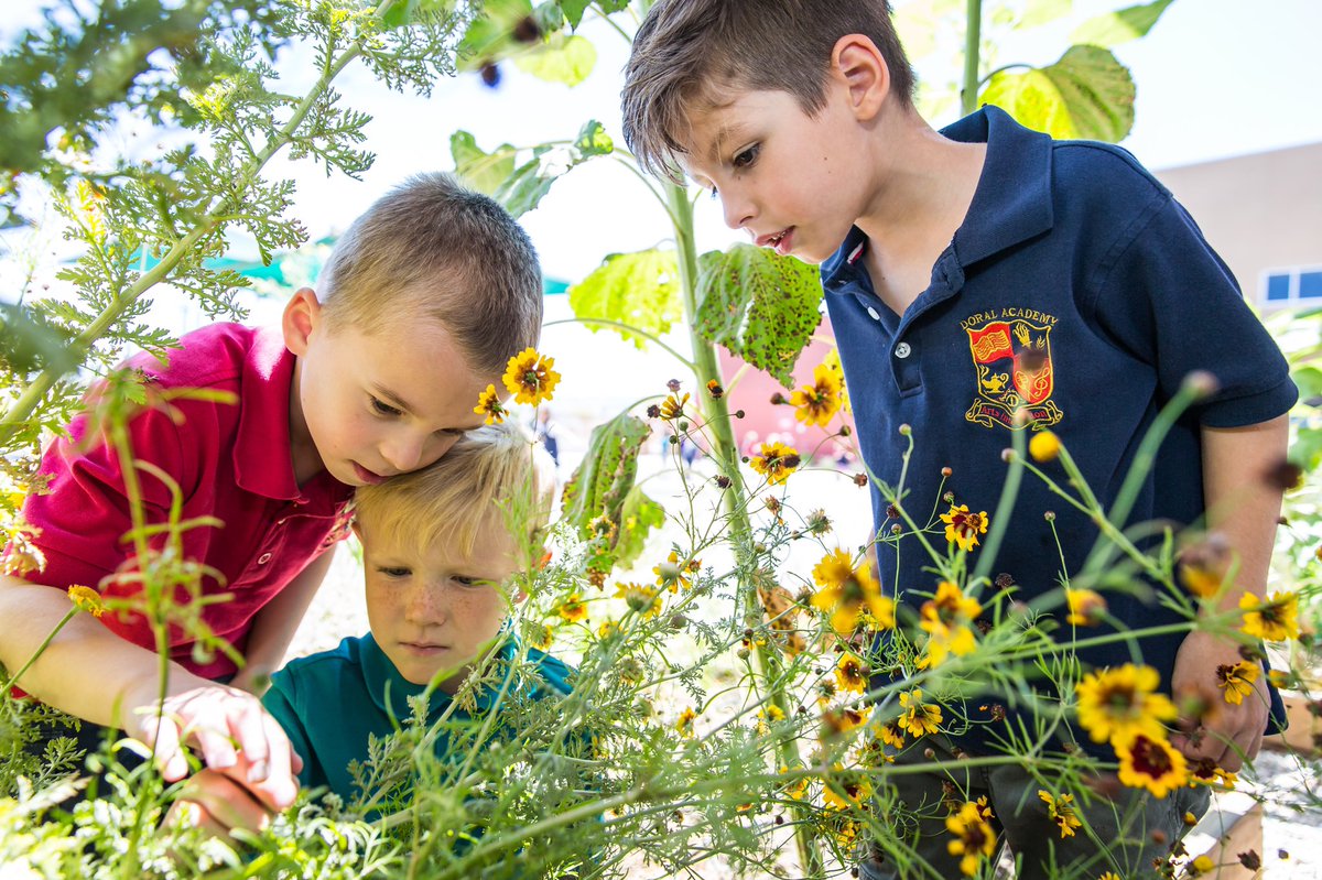 summerlinlv's tweet photo. Summerlin Tuesday Trivia: Grow. Learn. Eat. Repeat. School gardens are on the upswing in Las Vegas and here in Summerlin! Read more on our blog at https://t.co/YPohgDqfwn. #BePartOfSomethingBeautiful https://t.co/qay2aRgjsB