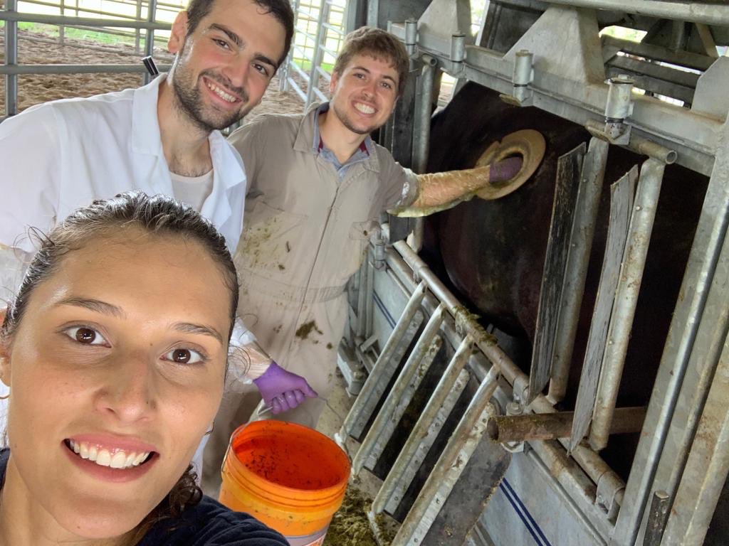 RumenScience's tweet photo. One more step done for my current experiment on probiotics for beef cattle diets. Very excited to share our findings soon about how we are trying to alleviate acute acidosis using probiotics and their effects on the microbial community of the rumen! #faciolalab #UF_IFAS #UF https://t.co/RlO2bgUGh9