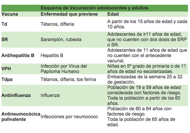 DanielUribeF's tweet photo. Esquema de vacunación en México.
Las vacunas y cuando aplicarlas.
@SSalud_mx
#MicroPara #Infectologia https://t.co/CdQhbU0u6k