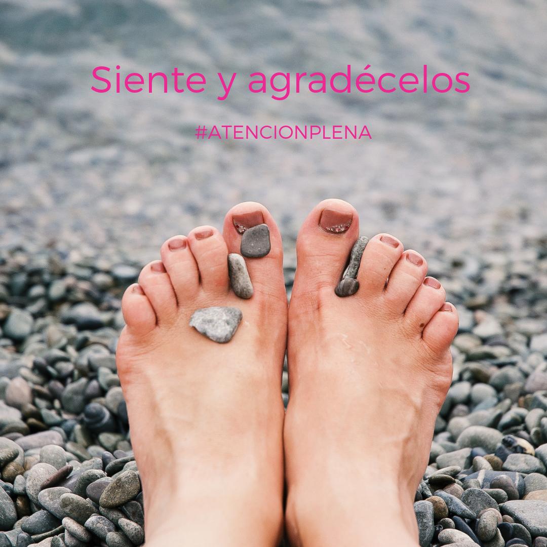 Ahí están, pero rara vez les hacemos caso a no ser que duelan...  👣Cierra los ojos y permítete 4 respiraciones lentas y profundas, lleva el foco a tus pies y regálales un poquito de tu cálida atención. Date cuenta de lo mucho que hacen por ti cada día #gratitud #mindfulness