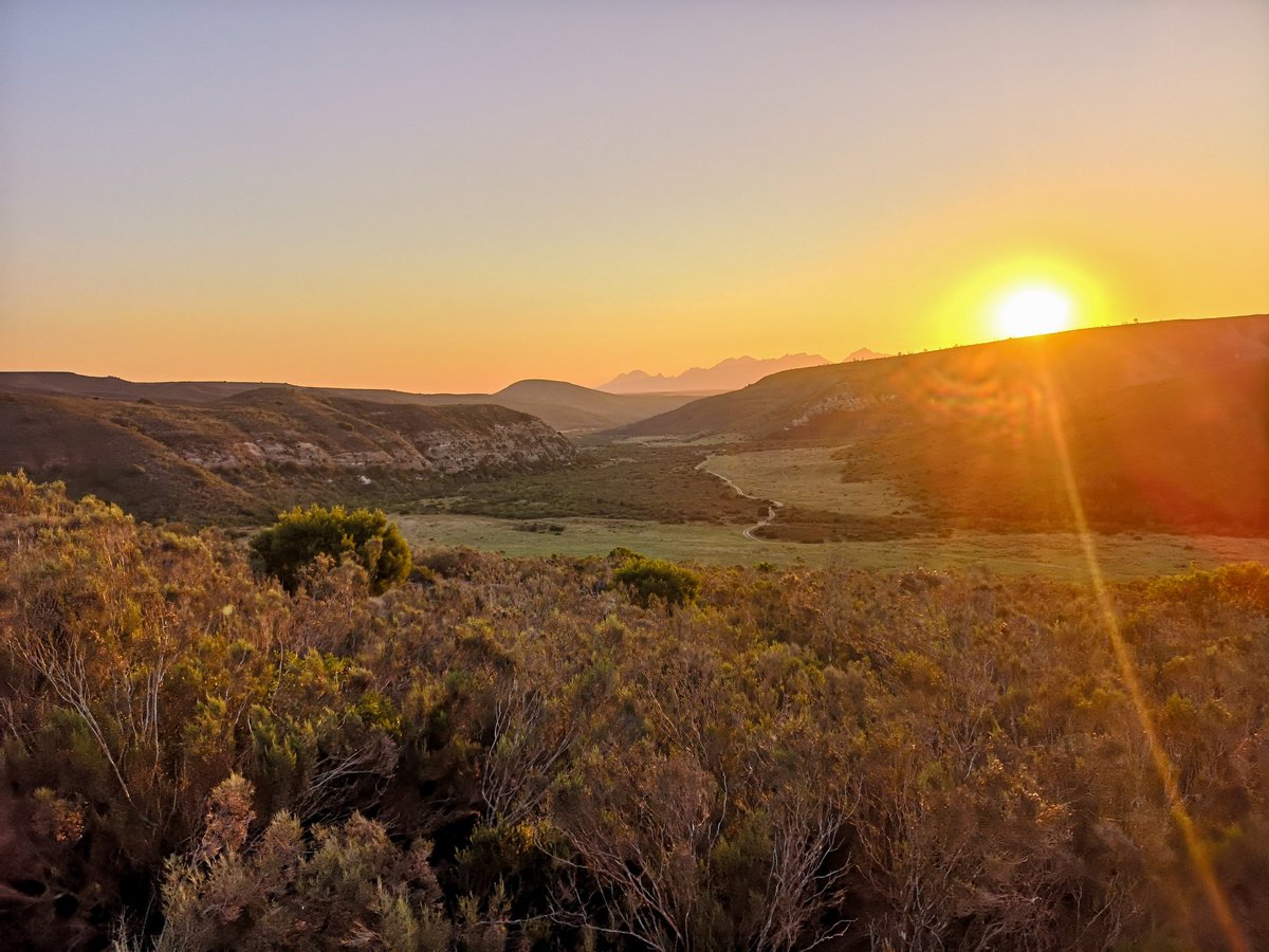 Justine (@jgt1707) on Twitter photo Back after 6 weeks of field work in South Africa, had an absolute time of my life and its going to be hard not seeing these sort of sunsets every night Back after 6 weeks of field work in South Africa, had an absolute time of my life and its going to be hard not seeing these sort of sunsets every night