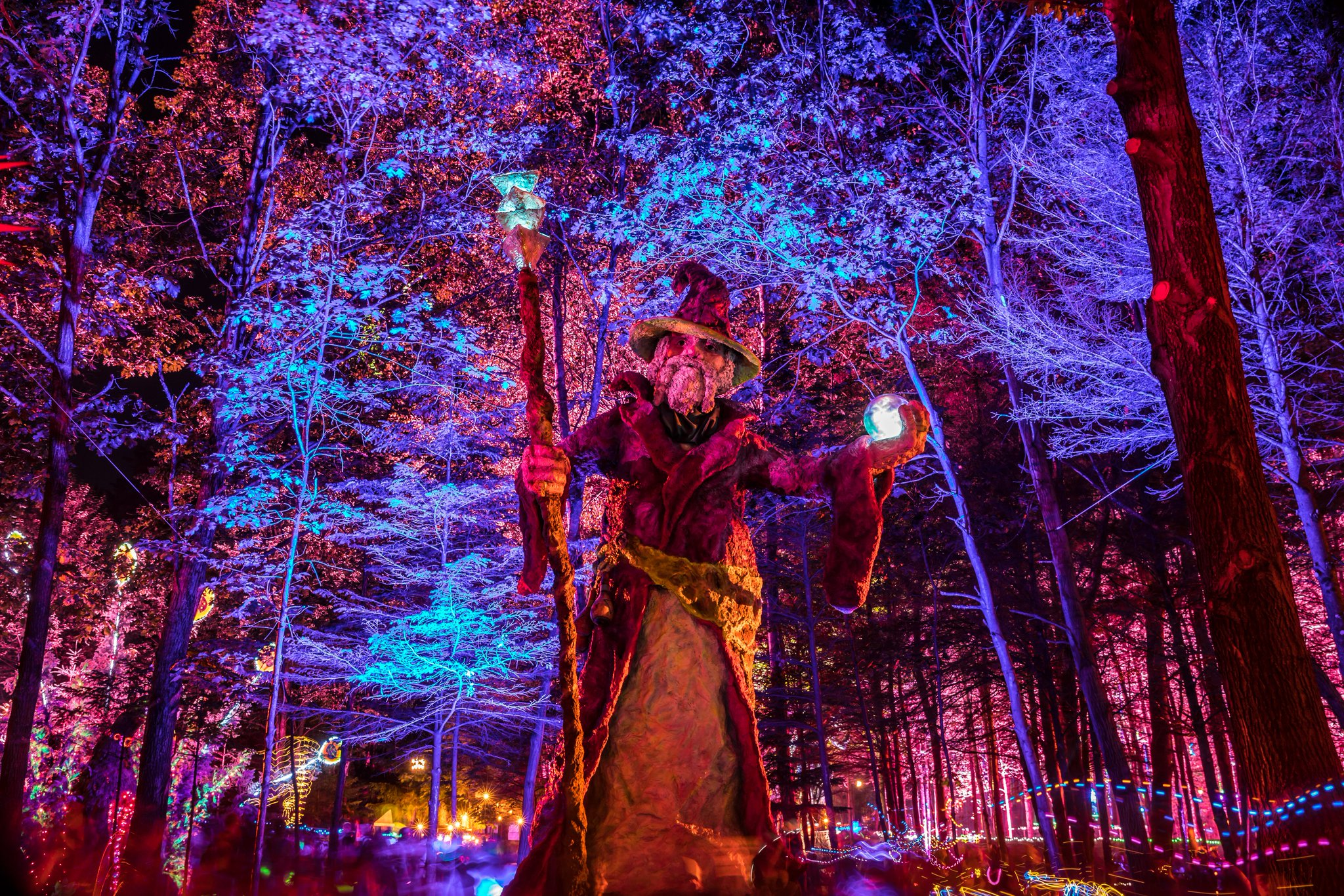 Electric Forest ⚡🌲 on Twitter "Electric Highlights and Forest Nights