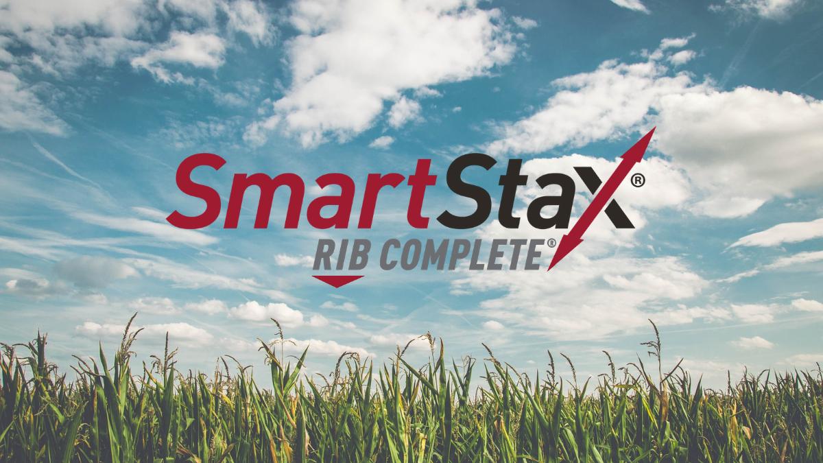 BayerTraitsCA's tweet photo. Yield begins below the ground. #SmartStax defends your #corn yield potential with below-ground insect protection. Click here for more #SmartStax benefits: https://t.co/OPEe0jWUFk https://t.co/xVBq8FkEPv
