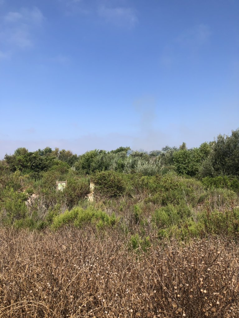 Costa Mesa FD tweet media