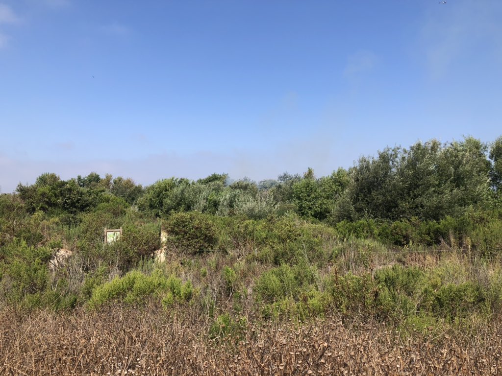 Brush fire in Fairview park wetlands area off Placentia  avenue near Estancia High School. Fire crews  making attack with a progressive hose lay