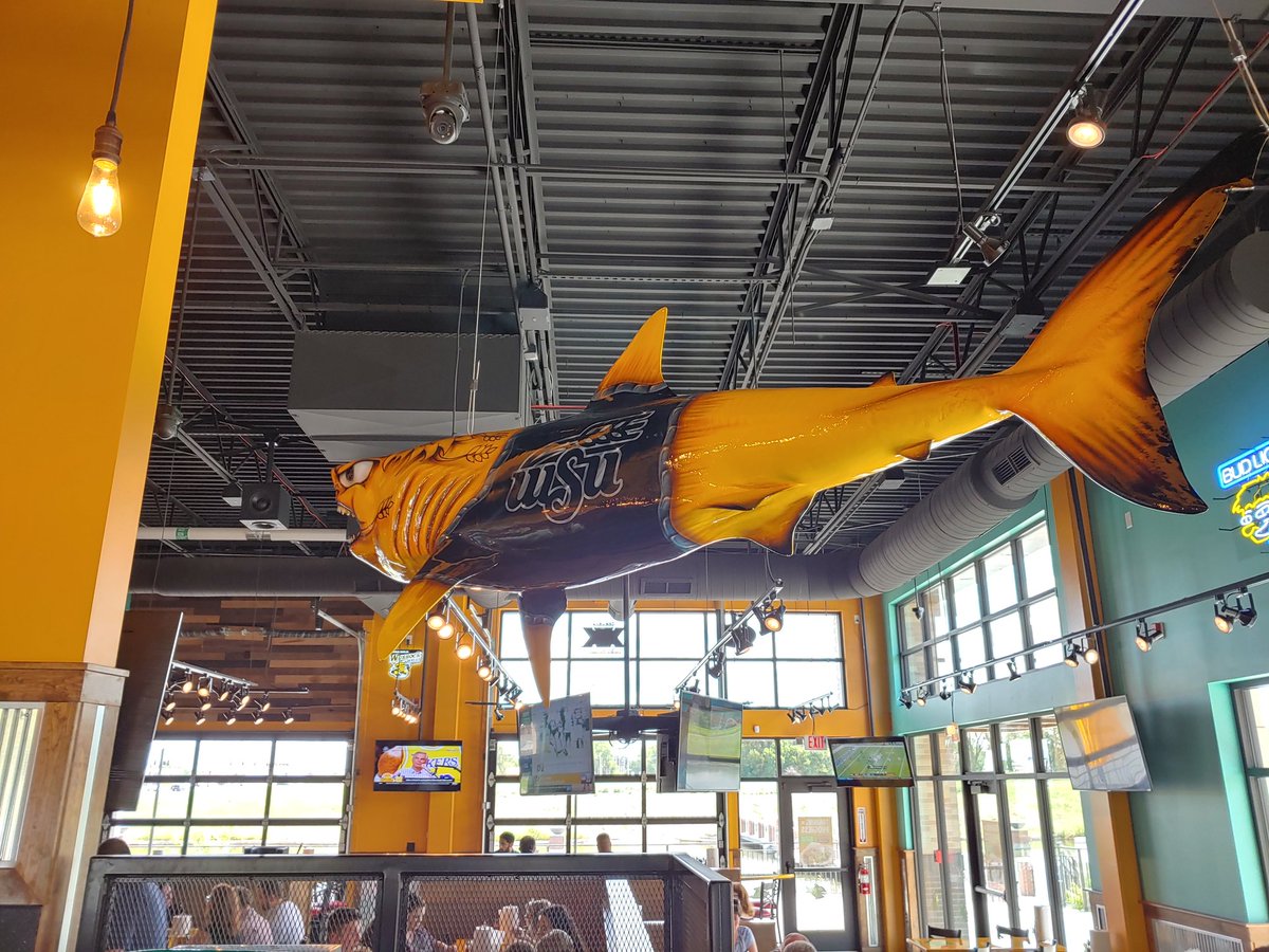 wheatweet's tweet photo. Enjoyed @fuzzystacoshop newest location &amp; soft opening right on-campus at @WichitaState.  🌮 🌮 🌮 were great! Also, WuShark is 🔥🔥🔥. https://t.co/cjtA1HVVGS