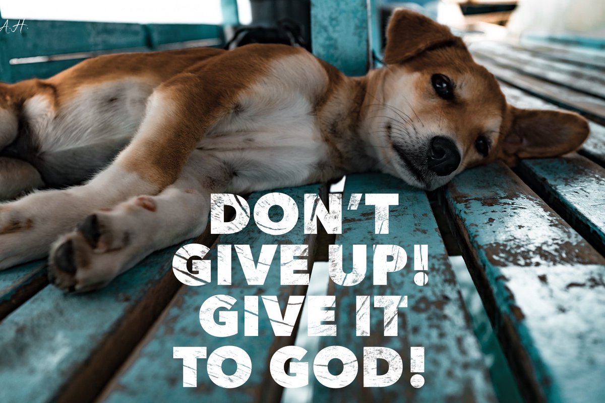AtWindance's tweet photo. Someone out there needs to hear this! The battle is not yours, it’s the Lords. So give it to Him. He will get you through it all. 🙌🏼 #Windance #Rise #Gulfport #Dontgiveup #Faith #Doglove #motivation https://t.co/hYKjTP7WgE