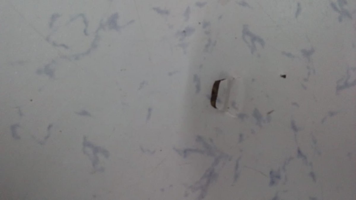 saagar_sa's tweet photo. Got delivery of my whirlpool refrigerator, &amp; it’s a pity 2see only 1 delivery person 4the job. Also the driver is 2drive n not do this kind of job. Can’t even blame delivery guy 4the damage done 2 da carpet in our home. It’s a shame #AmazonIndia @AmazonHelp @JeffBezos https://t.co/41TU9XyMGW