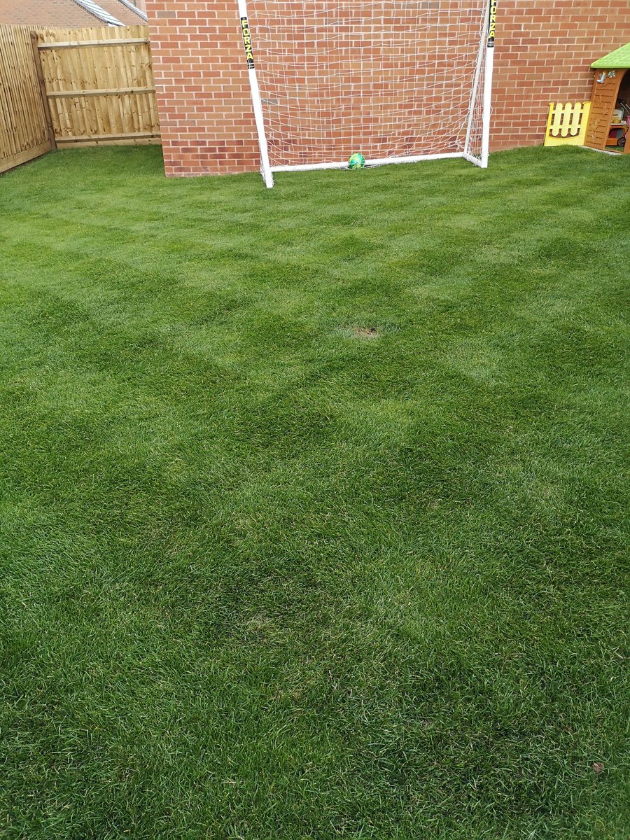 Peterbeads's tweet photo. @benbowen1979 @HerefordFC @AllettMowers @FleetLM This line things easy Mr Bowen..... #thanksforthetips https://t.co/Dyu1TYMN2e
