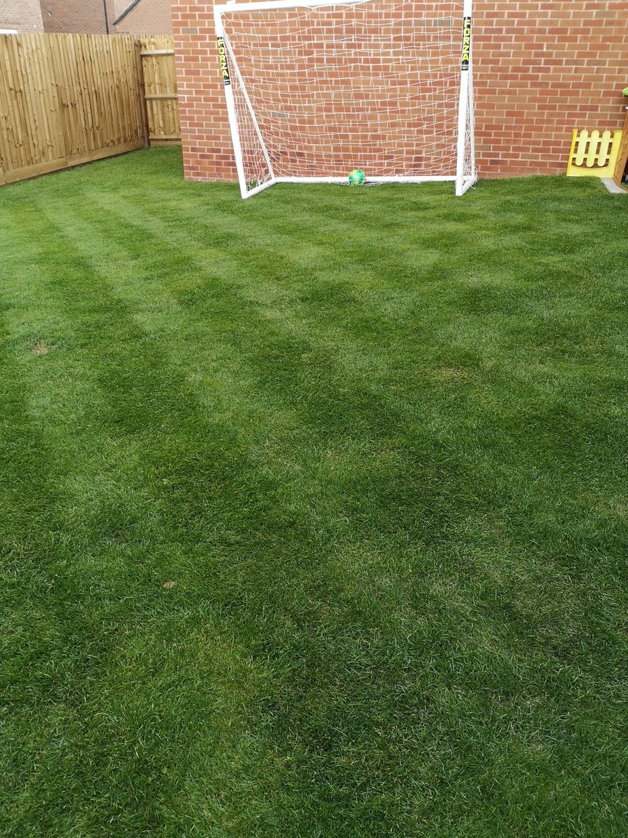 Peterbeads's tweet photo. @benbowen1979 @HerefordFC @AllettMowers @FleetLM This line things easy Mr Bowen..... #thanksforthetips https://t.co/Dyu1TYMN2e