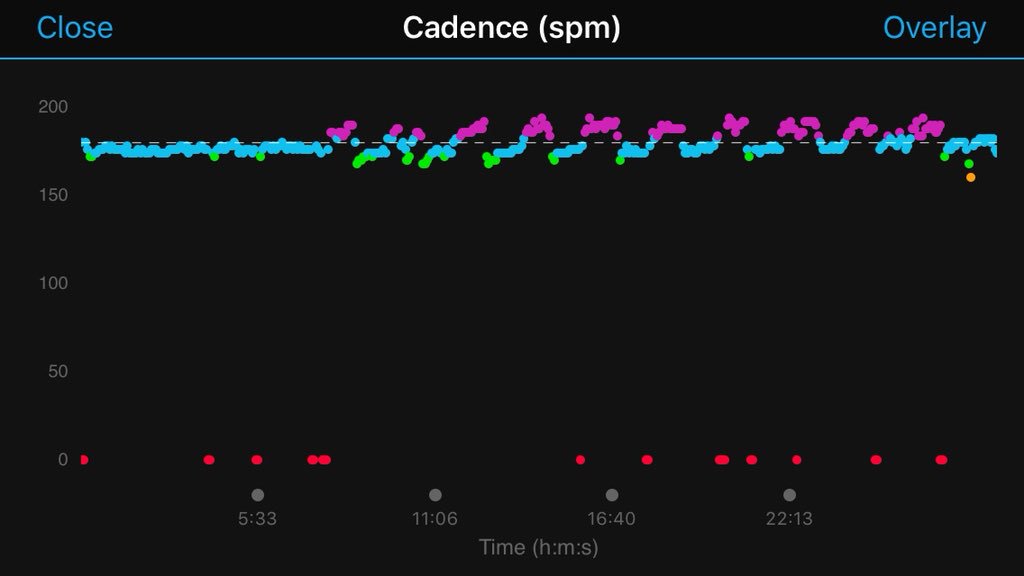 katelieves's tweet photo. @katietaylor38_ Same here! Funny looking at my cadence for my interval session. Can imagine my little feet during the fast minutes 💨 #NurseActive https://t.co/rGcXZKUS4X