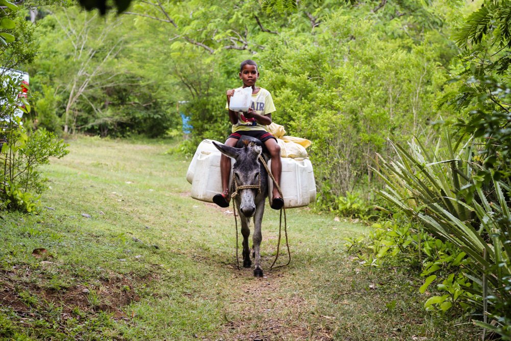 PPSRD's tweet photo. Visita a Dos Bocas y Las Tunas (El Seibo) para iniciar un proyecto que busca dar acceso a agua potable y energía en estas comunidades.

Muy pronto el video con la información del proyecto en nuestro canal de Youtube https://t.co/UkOrmZsDtr