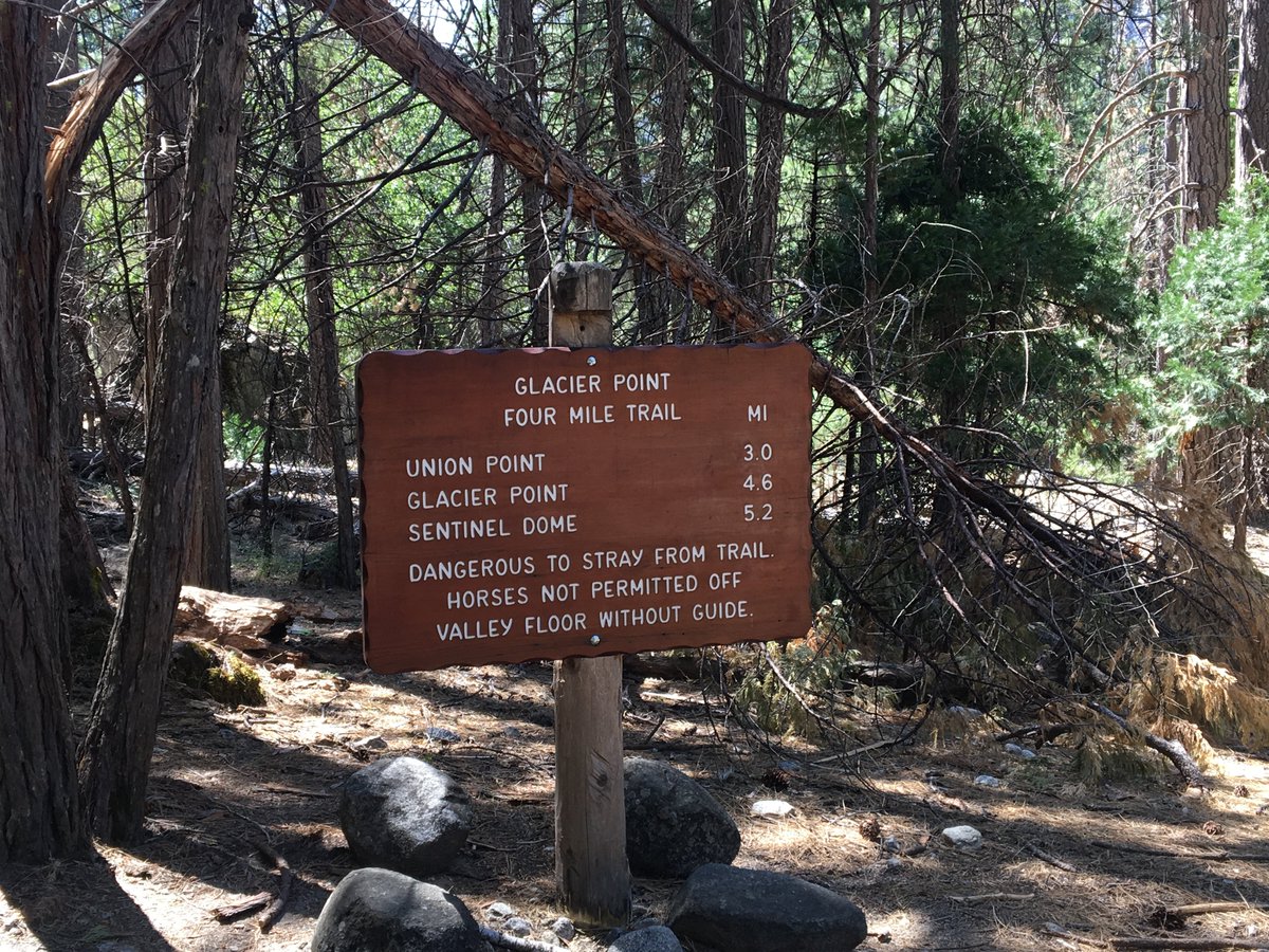 MrsSeal_LCPS's tweet photo. Hike review: Glacier Point @YosemiteNPS, 9.6 miles round-trip, 3200' elevation gain, and the most amazing view of Yosemite Valley &amp; Half Dome. 10/10 #lifelongmovement #getoutdoors https://t.co/w7j03tGb9P