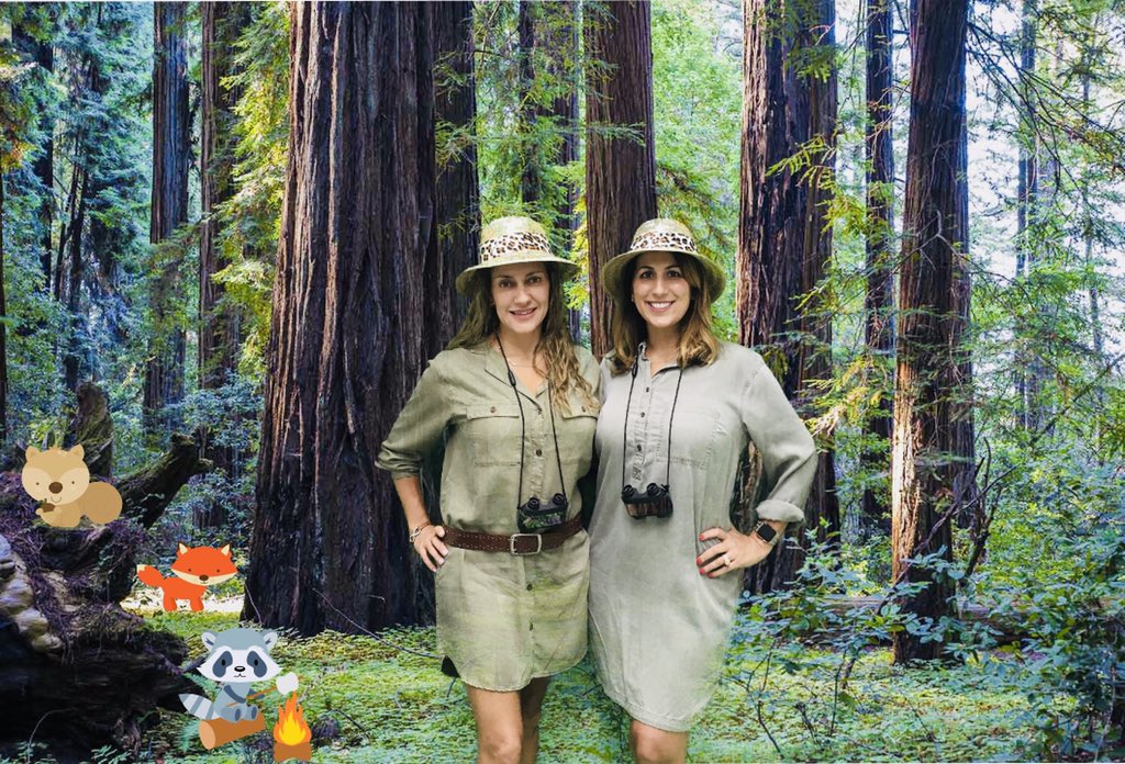 Ang_Falcon's tweet photo. We’re excited to meet our new students and embark on a FUNtastic school year filled with lots of learning, exploring and adventures! 🏕🦊🦔🐿 #GSLearning #AdventuresInA6B #PreK #WoodlandClassTheme #2019backtoschool @jimmgslearning https://t.co/bZAcd84a3t