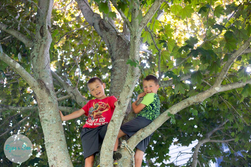 It's Crazy to Think {Childhood Doubts, Questions and Wonder} - An ordinary mid-morning climbing a tree and pondering #faith deniselilly.com/2019/08/crazy-…