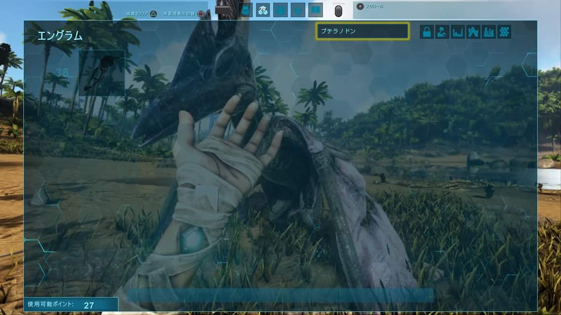 Mk ゲーム用アカウント プテラノドンテイムしました 前にサドルが38からと聞いてましたが近くをよく飛んでたのでテイムしました この子に乗れるのはいつになるのか ボーラで止めて棍棒で攻撃してた時 ちょっと
