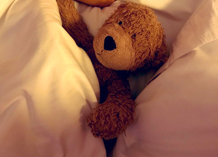 Hello all my Twitter friends. Still no news on my whereabouts. Hopefully I’m being looked after by I kind and caring person. This is the last photo taken of me before I went on that fateful trip. I’d still really love to come home to my family👌🤞🧸