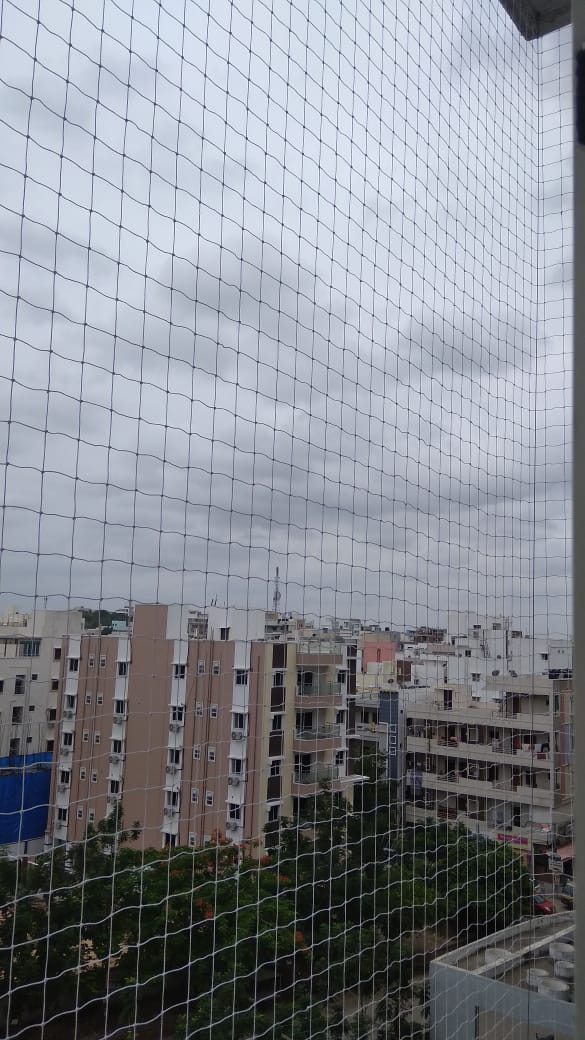 bird_elite's tweet photo. #Pigeonsnetting #balconys9440628101 https://t.co/XMK2Krj1Rt