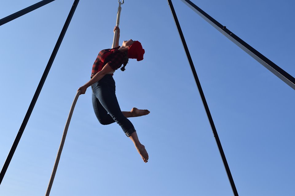 Taste of Regent Park tweet media