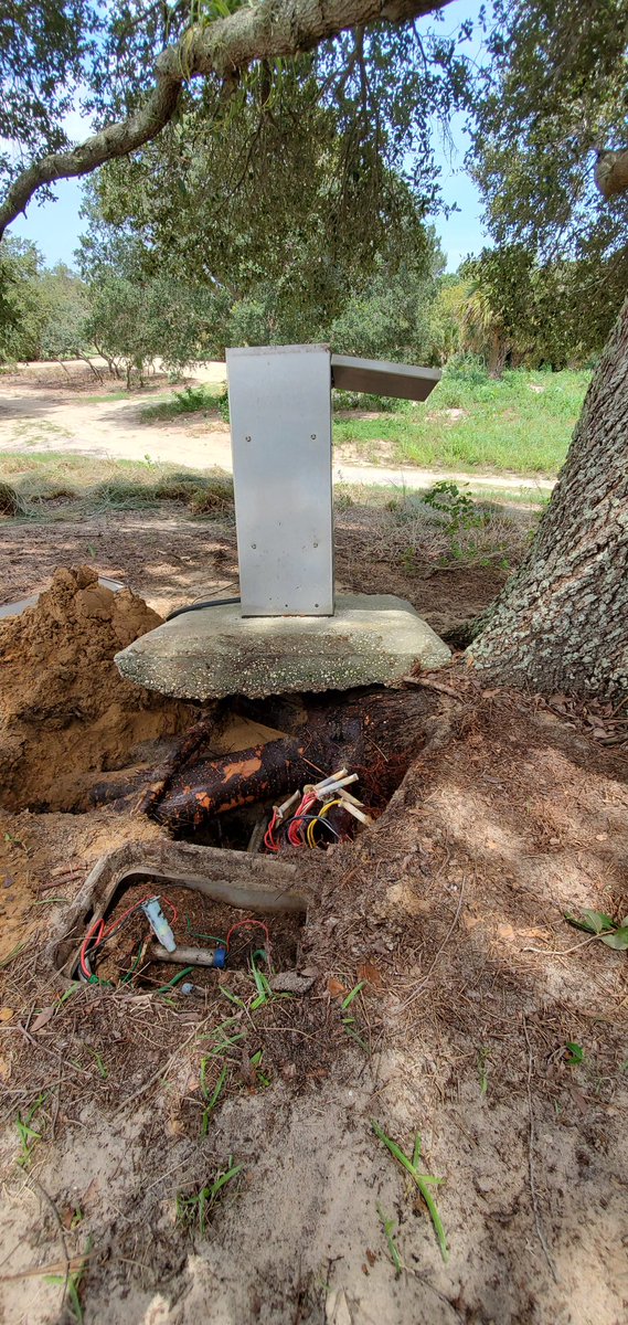 20 years of tree growth makes for unhappy irr controller