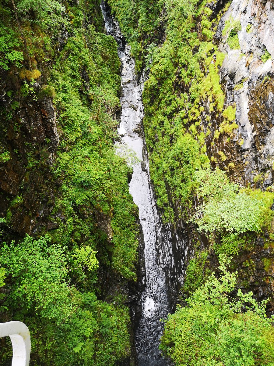 Kirsty0076's tweet photo. Today in 4: gorgeous beach to ourselves, standing over the River Droma, 60+m up(!) and walking in pines. Driven about 100miles in total just exploring βΊοΈ #corrieschallochgorge #gairlochbeach #lovinglife #canilivehereplease https://t.co/izrc1F5sql
