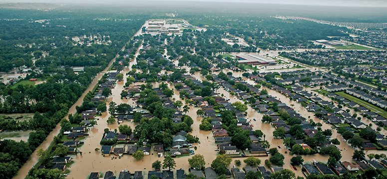 MasonClaims tweet media