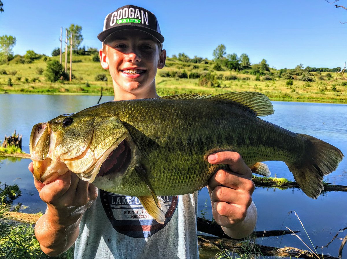 This little gal couldn’t resist the <a href="/Lunkerhunt_fish/">Lunkerhunt</a> Yappa Frog earlier this morning. Hey, <a href="/NoCoastFishing/">No Coast Fishing</a> ...no coasting here.  

<a href="/KidsThatFish/">KidsFishinNation</a> <a href="/DwayneMcguire3/">Dwayne Mcguire</a> @JacksLures <a href="/The_Pond_Lady/">Amie Robison: The Pond Lady™</a> <a href="/RANDMAN2011/">Randy Yancey</a> <a href="/JDBassHunter/">Czar</a>

 #catchandrelease