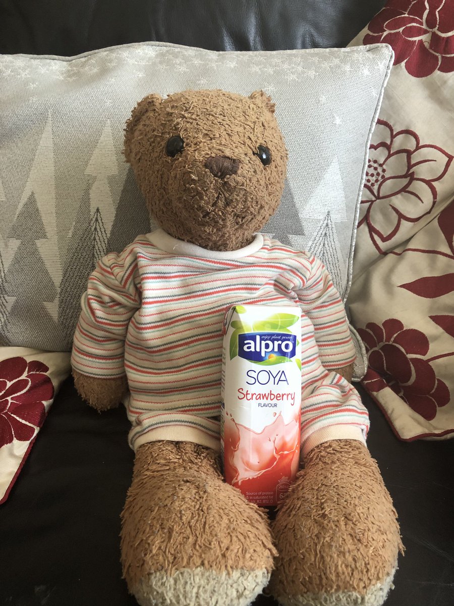 rex_the_bear's tweet photo. I am drinking a Strawberry flavour Soya Milk Alternative and it’s deliciousness 😋🐻

#rexportion #rexthebear #teddybear #teddy #bear #plushiecommunity #plushie #plushielife #vegan #milkalternative https://t.co/o5rzP0sc9k