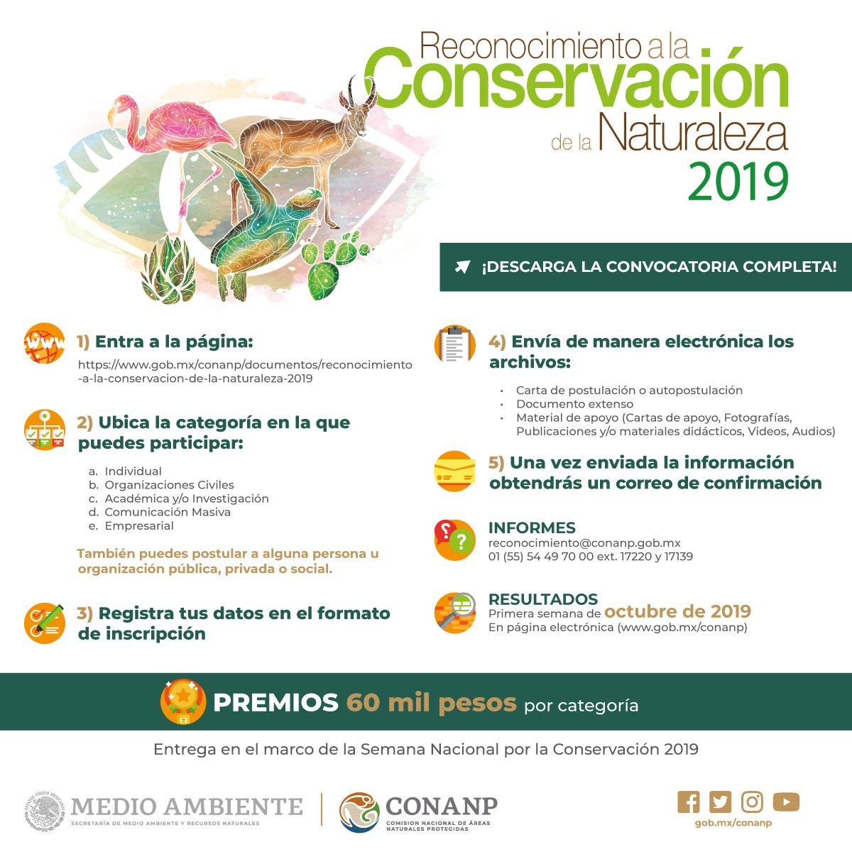 UAGro Verde UAGroVerde Twitter UAGro Verde UAGroVerde Twitter
