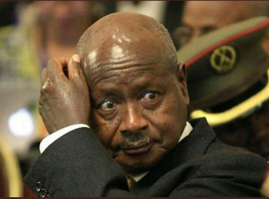 ghetto123nm's tweet photo. The one faction got #R1billion and the other #R2billion ? #Nasrec And we still have pit latrines in our schools? https://t.co/Ju3fJ92hKL