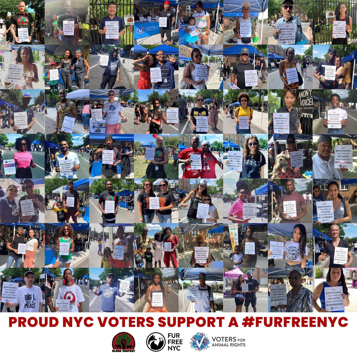 theanimalvoters's tweet photo. This past weekend @BlackVegFest we met thousands of NYC voters who proudly support banning the sale of fur! Thank you to everyone who stopped by our @FurFreeNYC booth to write to their @nyccouncil member in support of #intro1476! 🦊#furfreenyc https://t.co/j3wiWHulqR