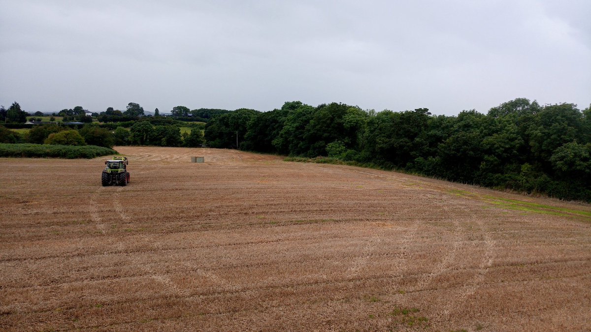 MauriceDeasy's tweet photo. A grey day but at least getting the fields cleared! #nextcrop https://t.co/27dT0ieX2I