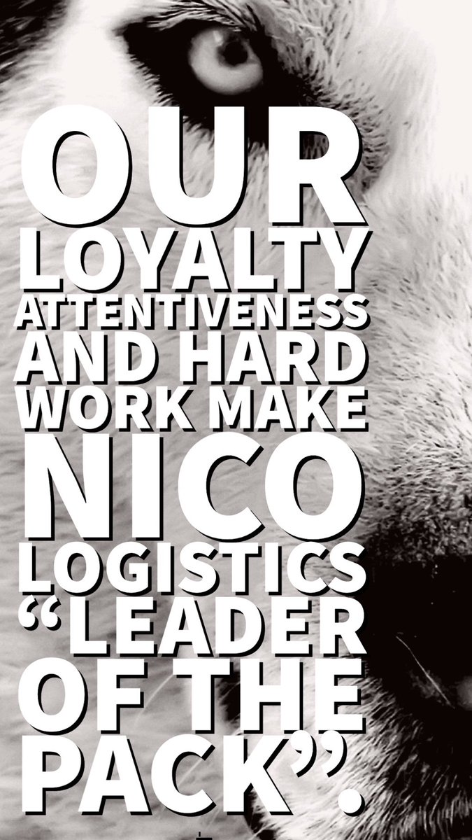 nicologistics's tweet photo. #freight #Transportation #logisticsmanagement #truckloadshipping #ltlshipping #drayage #hazmatshipping #tankertrucks #warehousing #usa #Canada #leaderofthepack #sunsettransportationpartner https://t.co/Dqux3RZ6zy