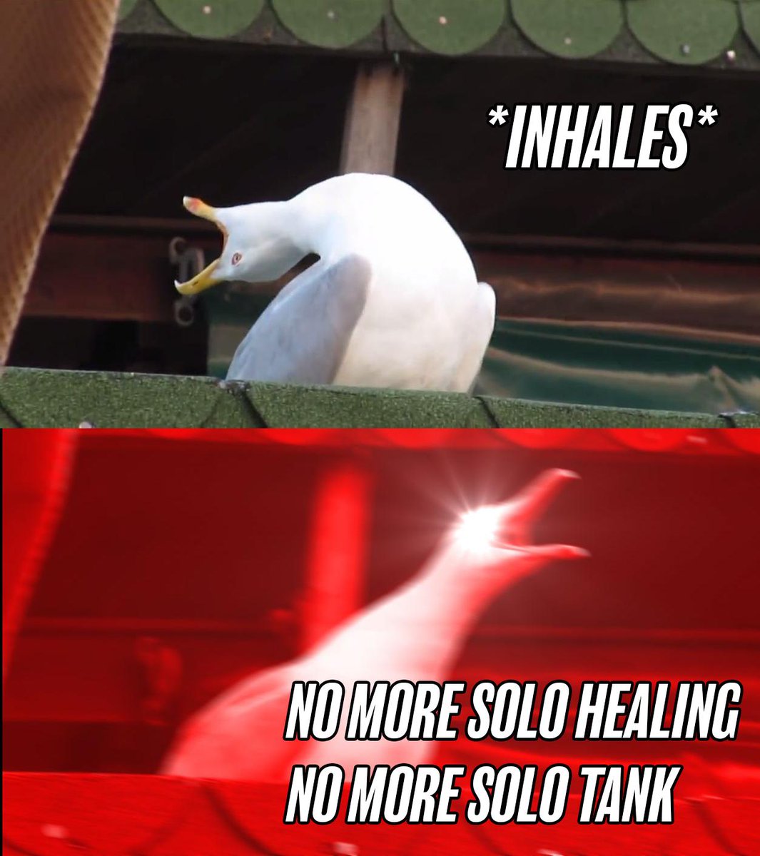 SFShock's tweet photo. NO MORE SOLO HEALING!
NO MORE SOLO TANK!
NO MORE SOLO HEALING!
NO MORE SOLO TANK!
NO MORE SOLO HEALING!
NO MORE SOLO TANK! https://t.co/aj6hsnWXJP