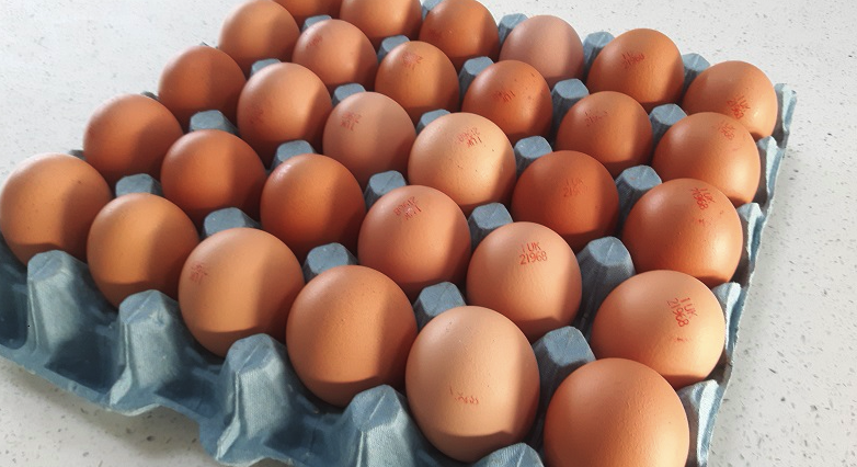 Sapling Home Farm tweet media