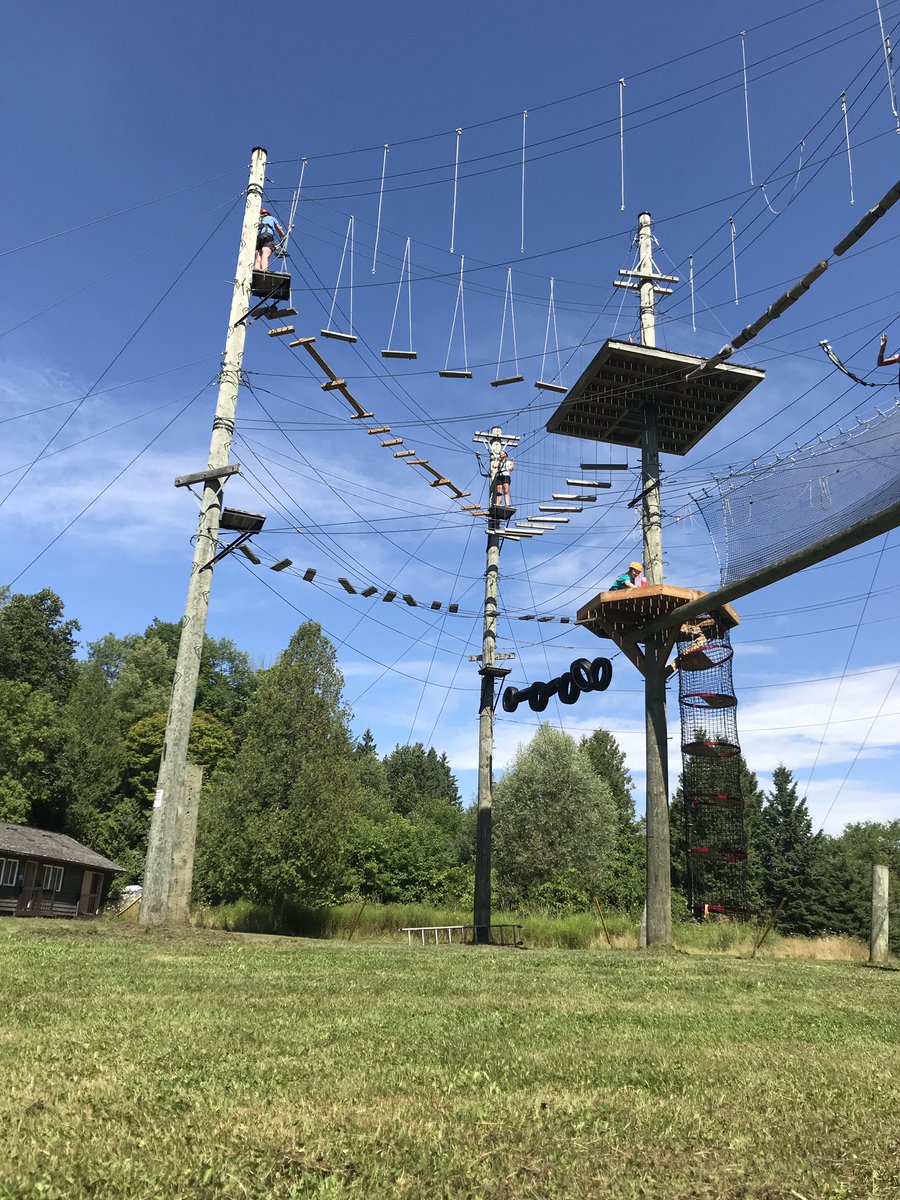 Krista Sharpe tweet media