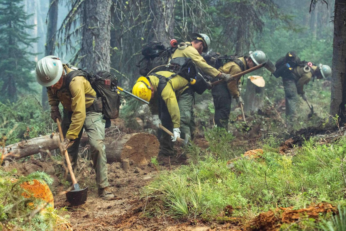 FSNIFC's tweet photo. 30 wildfires are burning more than 55,000 acres of National Forest System lands https://t.co/ltSxwyXHT3 @forestservice Photo: The Smith River Hotshots put in containment line around hot spots caused by the Nethker Fire @FSNIFC https://t.co/YLOO0kSbvv