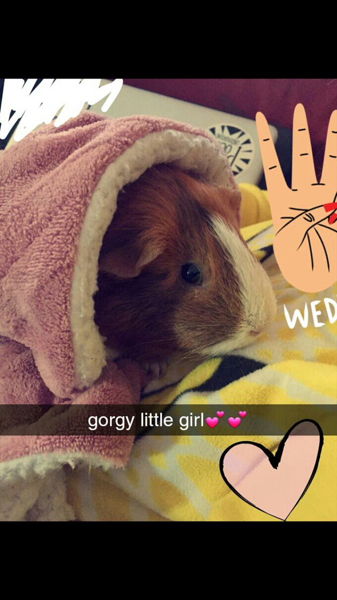 northernlass_'s tweet photo. My little babi Jaymie just woke me up and I canny get back to sodding sleep so I thought I'd share a pic of Jamelia (lil cutie xx) Not sure why it has stuff all over it but my niece sent it to me and she's 15 and it must be a stage!! LOL x https://t.co/g92kzUktxd