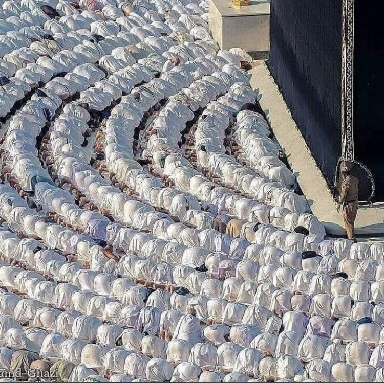 noda_tw's tweet photo. كأنهم لؤلؤٌ منثوراً ....اجمل مشهد يمكن ان تراه.. 
 اللهم يا جامع الحجيج من كل بقاع الأرض اجمع بيننا وبين فرحنا وسعادتنا وتوفيقنا وكل امر تعلم انه خيراً لنا 🤲

#نجاح_موسم_الحج https://t.co/kKvgGfSnW5