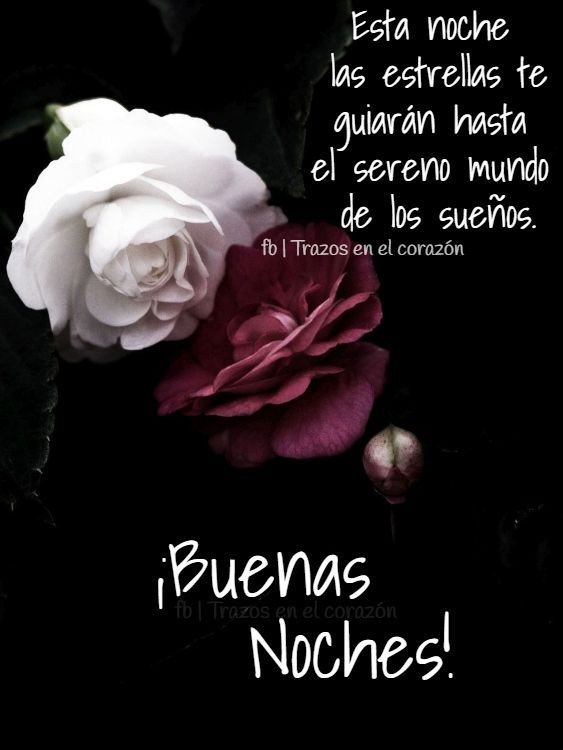 Elba Castro Ar Twitter Feliz Noche Amiga Querida Que Tengas