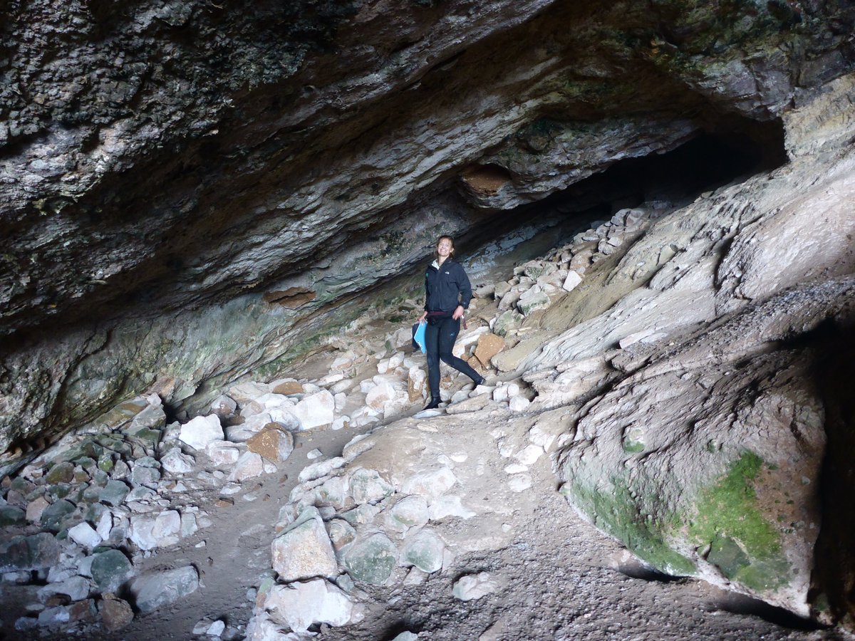 Introducing one of our PhD Candidates <a href="/Sarah1Lena/">Sarah-Lena Reinhold</a> of <a href="/UniofAdelaide/">Uni of Adelaide</a>). Sarah is investigating the predator-prey relationship between Long-Nosed Fur Seals and Little Penguins using a cross-cultural lens. Funders: <a href="/PenguinFdn/">Penguin Foundation</a>, <a href="/ecologyaus/">Ecology Australia</a> @naturefsa #phillipislandnp