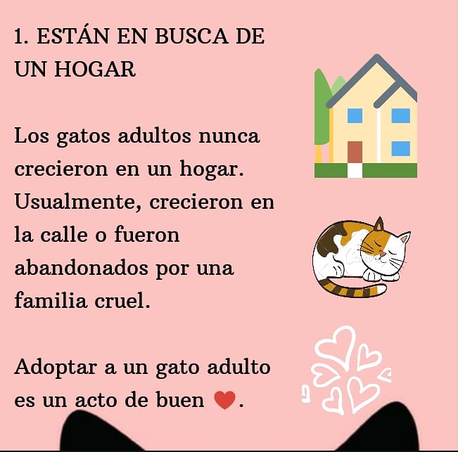 ASOGUAU tweet media