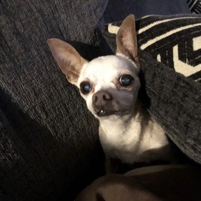 krispieburger's tweet photo. #NewProfilePic https://t.co/w5Bg2pOqCT
