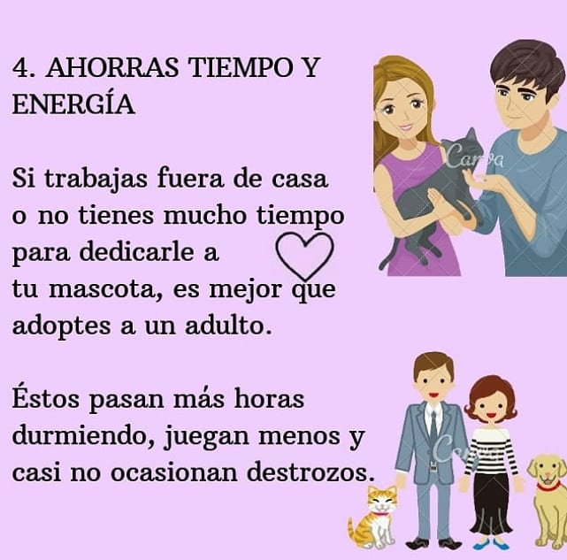 ASOGUAU tweet media