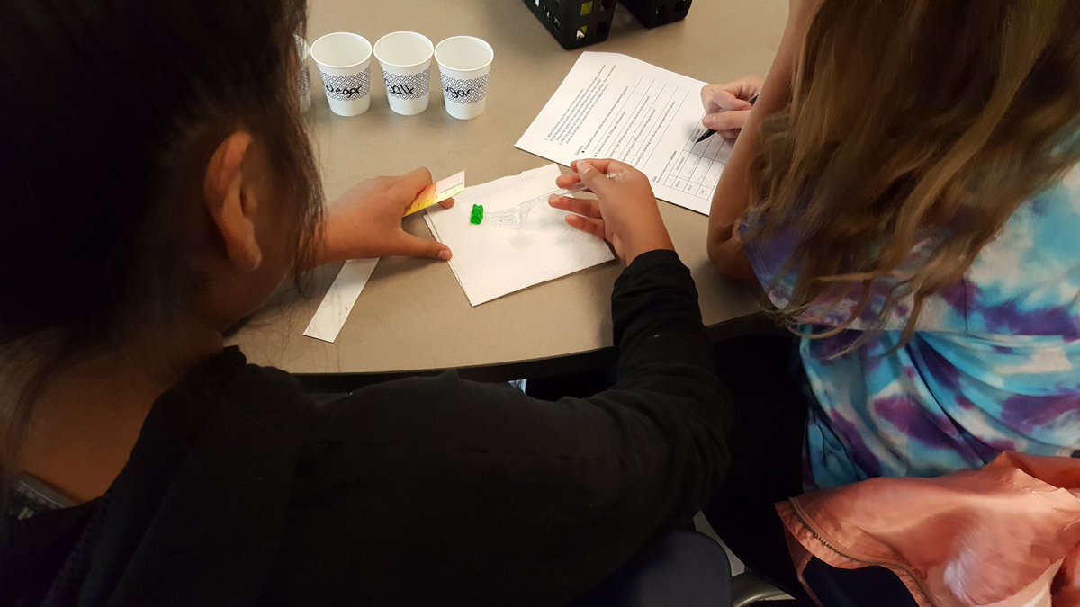 AISPirates's tweet photo. Measuring and recording data from our gummy bear experiment https://t.co/EtH4Nw2Hxf