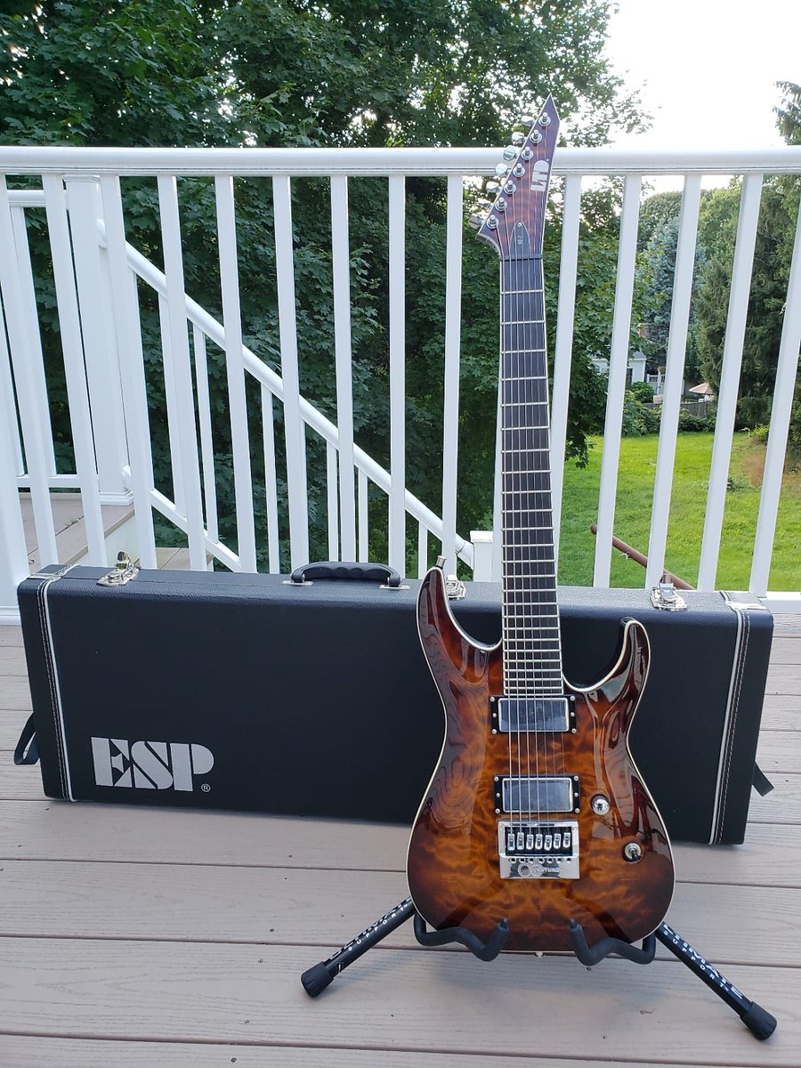 Got_Me_Stumped's tweet photo. Happy birthday to me! My new @ESPGuitars #kensusi @EverTune8  #7string 🤘 https://t.co/ALVrNNQ54f