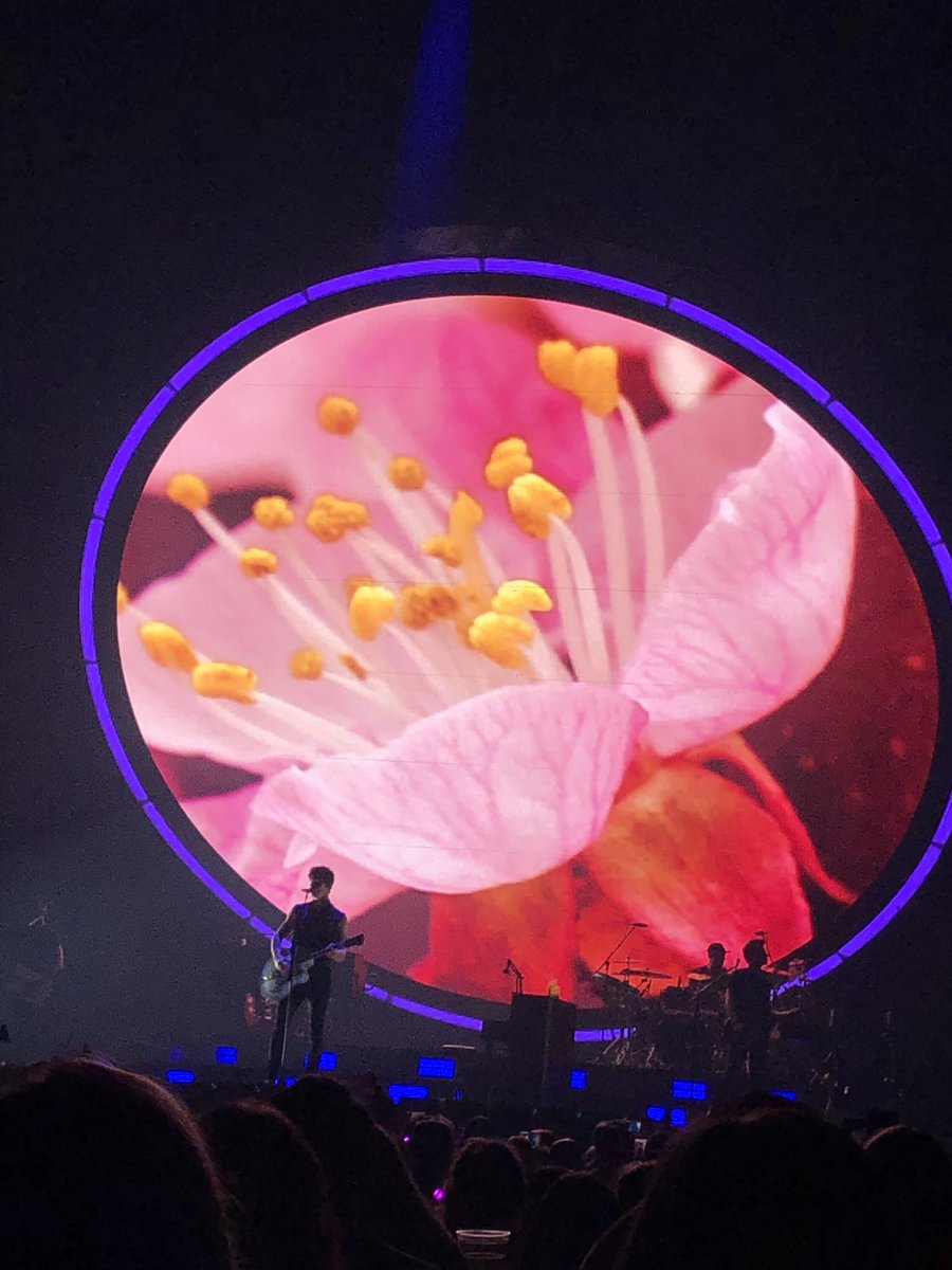 mendesnoted's tweet photo. I’ve been so busy I never got to post anything but I was BASICALLY B STAGE BARRICADE last week when I saw Shawn! What an experience https://t.co/5WCnmlJRDx
