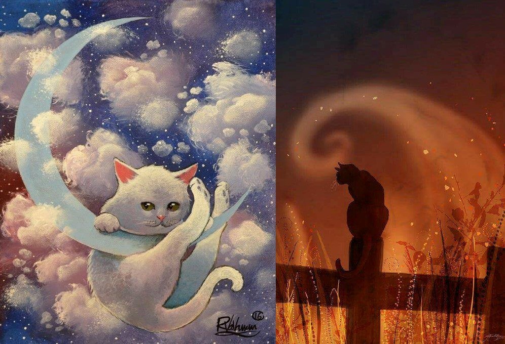 🐾ARTE DE UM GATO🐾 tweet media