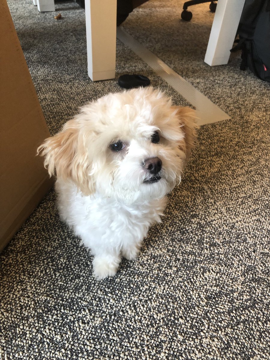 NSengco's tweet photo. My coworker is hangry https://t.co/PNom1stjQo