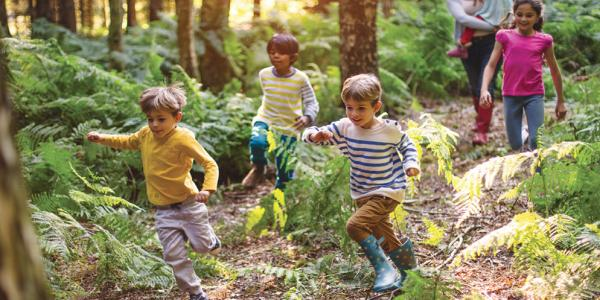 WakeNature's tweet photo. SAVE THE DATE! Annual Workshop: Sept. 27, White Deer Park, Garner, NC. 

Natural Connections:  Exploring outdoor play, innovative partnerships, and ecological impacts within and across nature preserve boundaries. 

@WakeGovParks @raleighparks @TriangleLand @TownofGarner @KdaleNC https://t.co/A6lgg5fKub